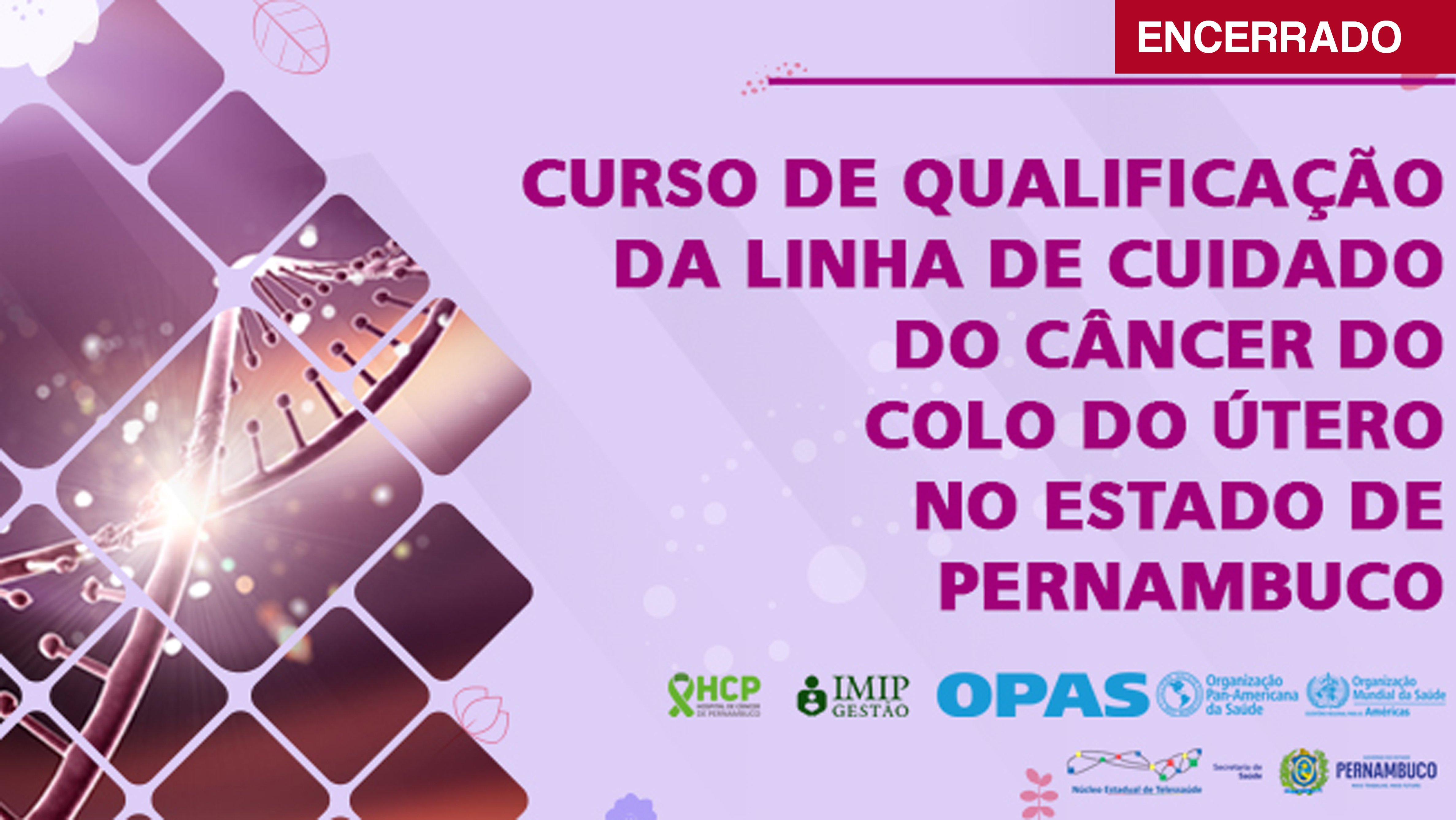 Curso de Qualificação da Linha de Cuidado do Câncer do Colo Útero no Estado de Pernambuco